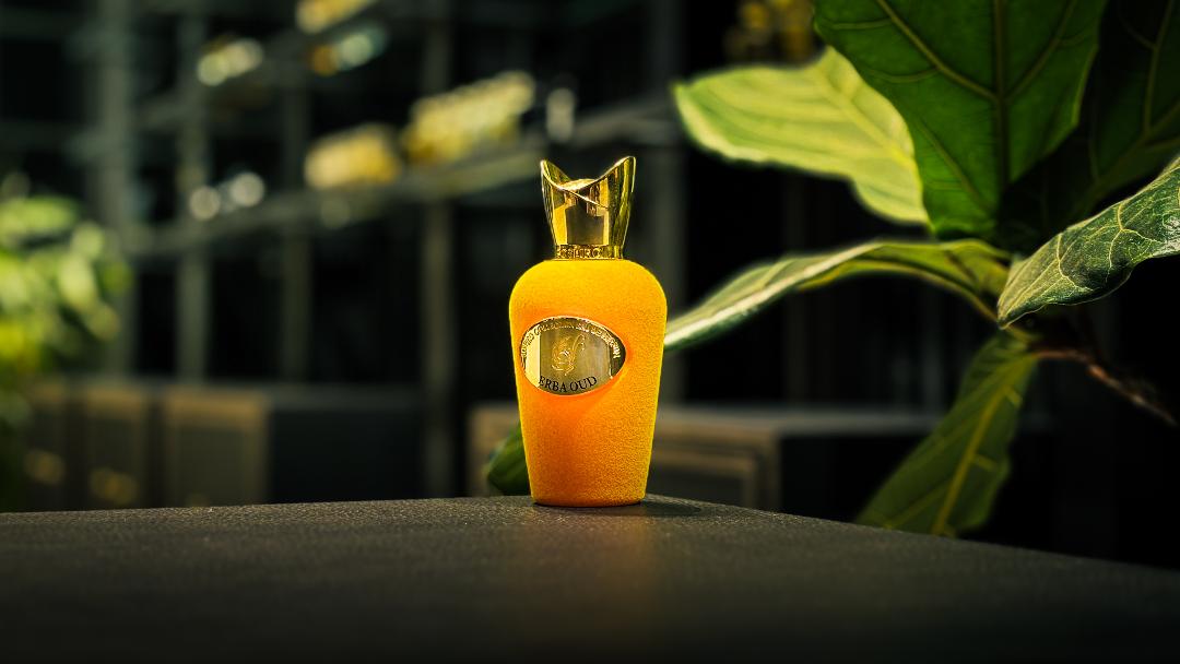 اربا عود: هنری از تجمل و قدرت در عطرسازی نیش